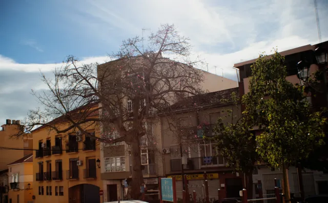 Auto Exaktar EEM 35mm f2.8 ( Minolta MD) - 00002724.webp