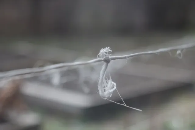 Helios 44-2 (M42) - 00005128.webp