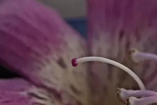 Industar-50-2 50mm f3.5 (M42) - 00002405.webp