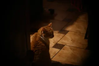 Simplex Ampro Ltd 2.5cala (63.5mm) f1.8 16mm (DIY) - 00002227.webp