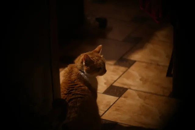 Simplex Ampro Ltd 2.5cala (63.5mm) f1.8 16mm (DIY) - 00002227.webp