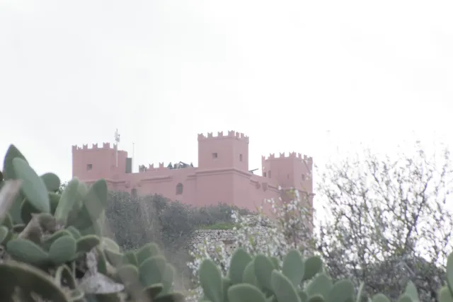 Tamron 28-300mm F3.5-6.3 (EF) - 00004664.webp