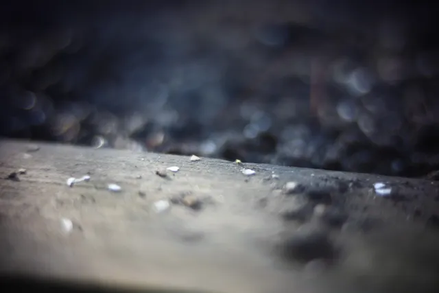 KOWA SUPER PROMINAR-16 50mm f1.2 Eiki 16mm (DIY) - 00002055.webp