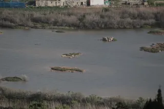 Tamron 28-300mm F3.5-6.3 (EF) - 00004675.webp