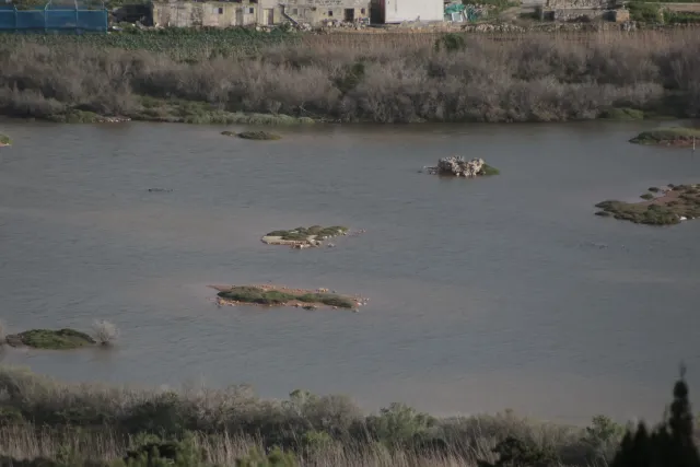 Tamron 28-300mm F3.5-6.3 (EF) - 00004675.webp