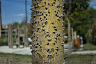 Industar-50-2 50mm f3.5 (M42) - 00000131.webp