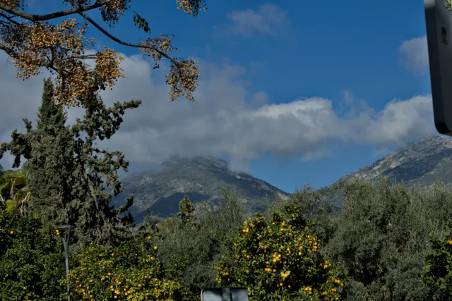 Tamron 28-300mm F3.5-6.3 (EF) - 00001078.webp