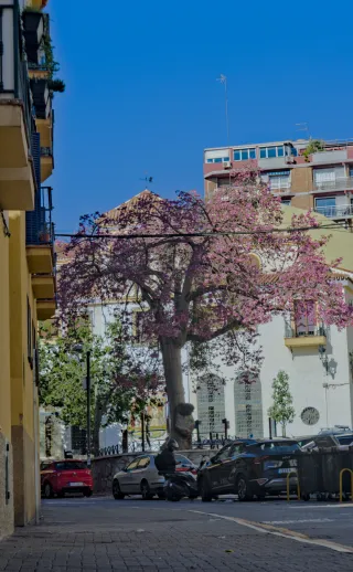 Industar-50-2 50mm f3.5 (M42) - 00002395.webp