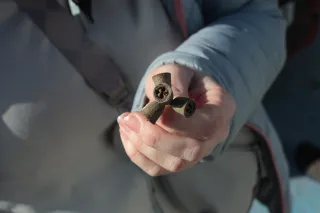 Carl Zeiss Jena DDR Pancolar Electric 50mm f1.8 (M42) - 00003979.webp