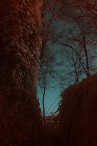 Vivitar 28mm f2.5 (M42) - 00004846.webp