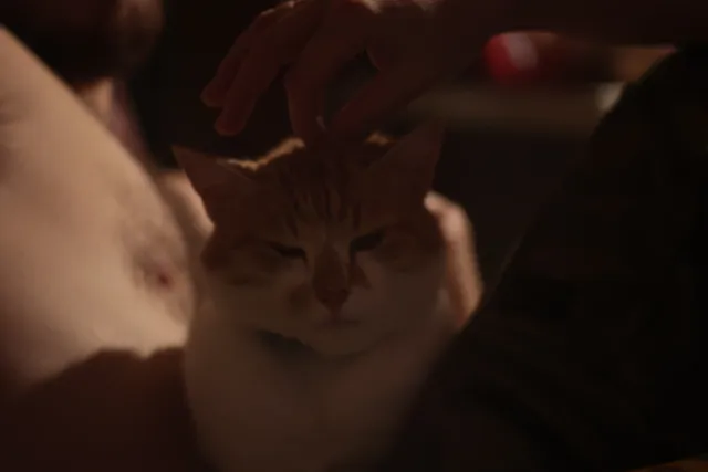 PZO Krytar 85mm f2.8 (DIY) - 00001562.webp