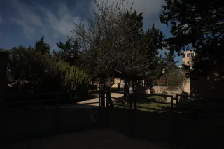 Carl Zeiss Flektogon f4 20mm (m42).md - 00003914.webp