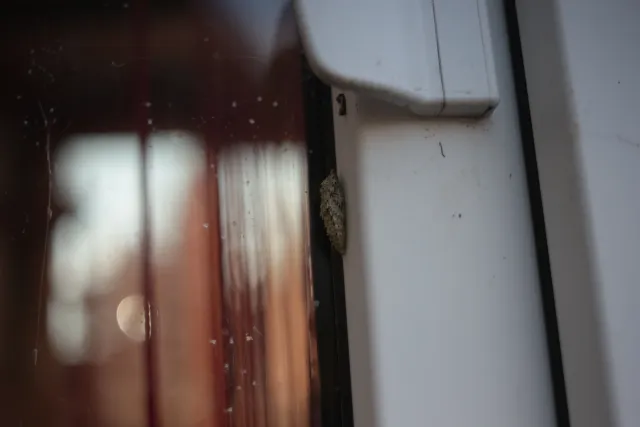 Kilfitt Makro-Kilar D f2.8 40mm (EXA) - 00005289.webp