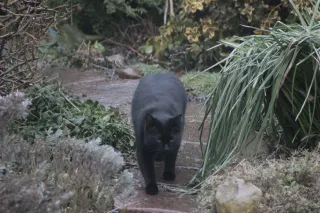 Tamron 28-300mm F3.5-6.3 (EF) - 00003188.webp