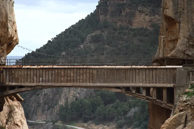 Osawa 135mm f2.8 (Minolta MD) - 00003041.webp