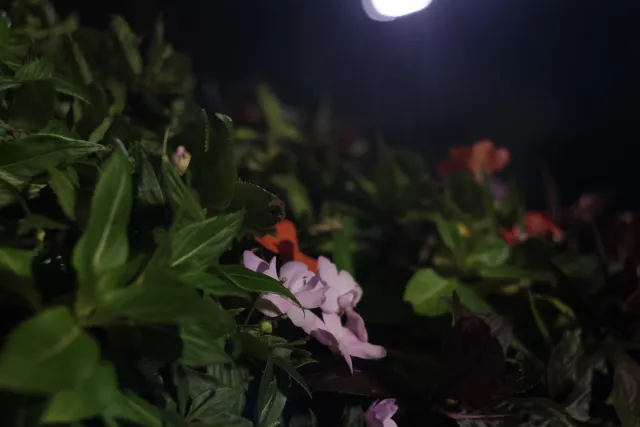 Zenith Helios-77M-4 50mm f1.8 VOMZ (M42) - 00002650.webp