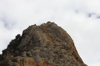 Osawa 135mm f2.8 (Minolta MD) - 00002948.webp