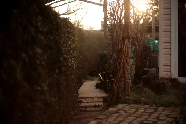 Yashica Lens DSB 55mm f2 (CY) - 00005398.webp