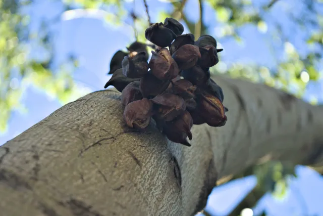 Industar-50-2 50mm f3.5 (M42) - 00001292.webp