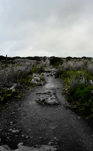 Carl Zeiss Flektogon f4 20mm (m42).md - 00004517.webp