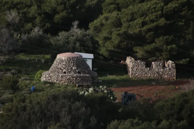 Tamron 28-300mm F3.5-6.3 (EF) - 00004699.webp