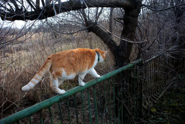 SMC Takumar 28mm f3.5 (Asahi Opt. Co.) [M42] - 00004916.webp