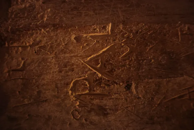 Carl Zeiss Flektogon f4 20mm (m42).md - 00003897.webp