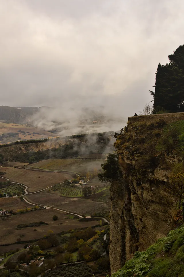 Tamron 28-300mm F3.5-6.3 (EF) - 00001452.webp