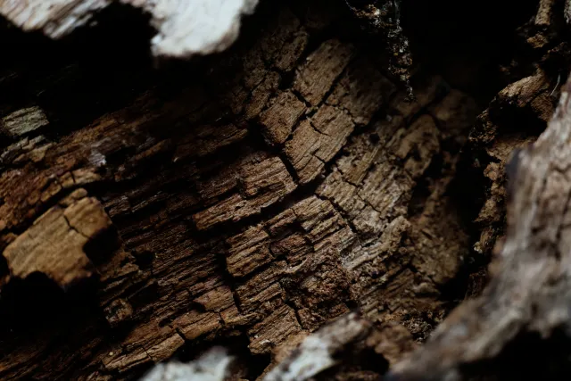 Carl Zeiss Jena DDR Pancolar Electric 50mm f1.8 (M42) - 00004479.webp