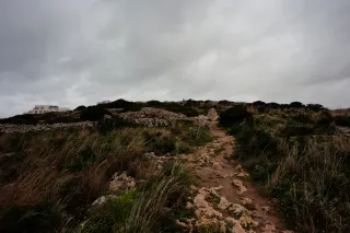 Carl Zeiss Flektogon f4 20mm (m42).md - 00004519.webp