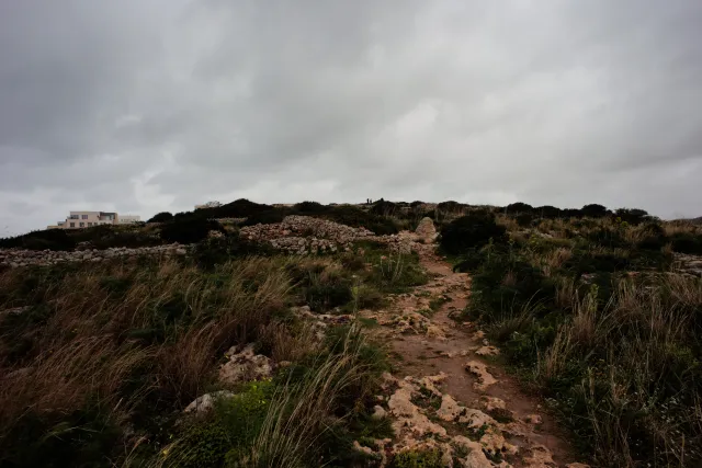 Carl Zeiss Flektogon f4 20mm (m42).md - 00004519.webp