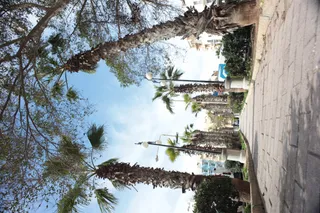 Carl Zeiss Flektogon f4 20mm (m42).md - 00003270.webp