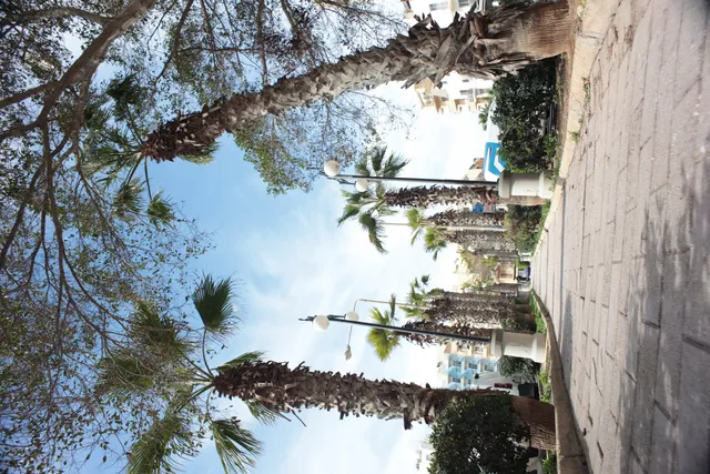 Carl Zeiss Flektogon f4 20mm (m42).md - 00003270.webp