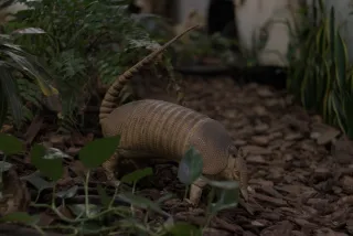 Zenith Helios-77M-4 50mm f1.8 VOMZ (M42) - 00001394.webp