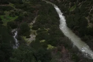 Minolta MC Rokkor-PF 55mm f1.7 (Minolta MCMD) - 00003025.webp