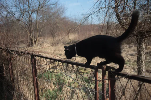 Mamiya-Sekor SX Auto 28mm f2.8 (M42) - 00004912.webp