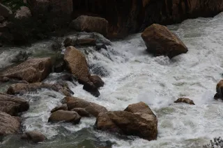 Osawa 135mm f2.8 (Minolta MD) - 00002954.webp