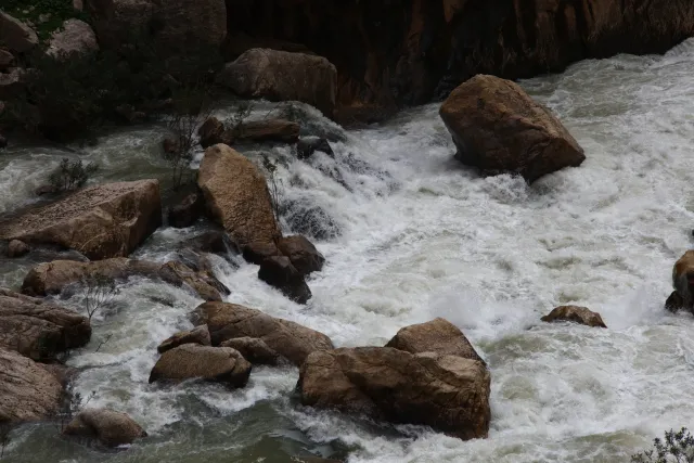 Osawa 135mm f2.8 (Minolta MD) - 00002954.webp