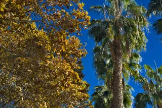 Zenith Helios-77M-4 50mm f1.8 VOMZ (M42) - 00000748.webp