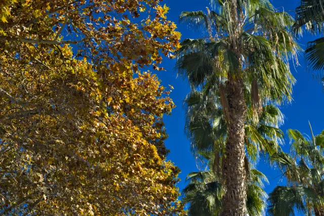 Zenith Helios-77M-4 50mm f1.8 VOMZ (M42) - 00000748.webp