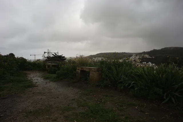 Carl Zeiss Flektogon f4 20mm (m42).md - 00004441.webp