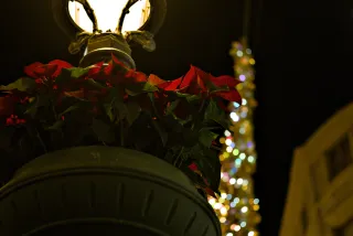 Zenith Helios-77M-4 50mm f1.8 VOMZ (M42) - 00000956.webp