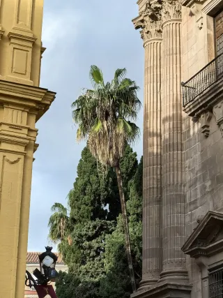 HUAWEI Pura 70 Ultra - System Aparatów - 00002331.webp