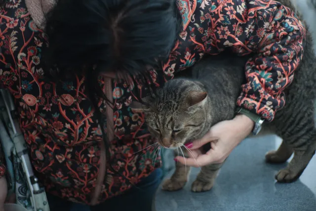 Miranda 75-300mm f4.5-5.6 MC Macro (Olympus OM) - 00005423.webp