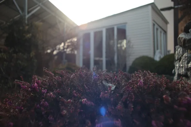 Mamiya-Sekor SX Auto 28mm f2.8 (M42) - 00004905.webp