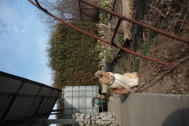 Mamiya-Sekor SX Auto 28mm f2.8 (M42) - 00004906.webp