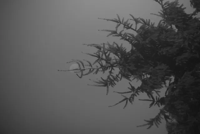 Vivitar Series 1 70-210mm f3.5 Macro Focusing (FD) - 00004746.webp