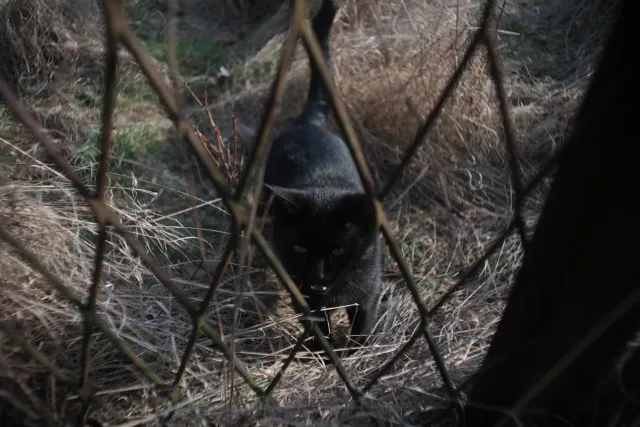 Mamiya-Sekor SX Auto 28mm f2.8 (M42) - 00004911.webp