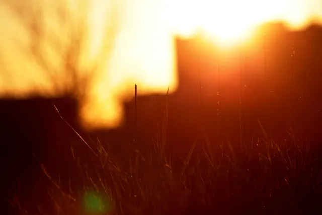 Canon FD 70-210mm f4 (FD) - 00005450.webp