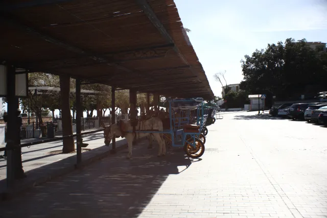 Auto Exaktar EEM 35mm f2.8 ( Minolta MD) - 00003104.webp